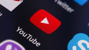 YouTube如何運(yùn)用機(jī)器學(xué)習(xí)賦能企業(yè)營銷 從定制廣告制作到精準(zhǔn)發(fā)布
